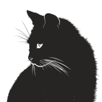 Drawing of black cat, repeated for other slides